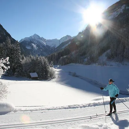 Vorstadtstub'n שלאדמינג