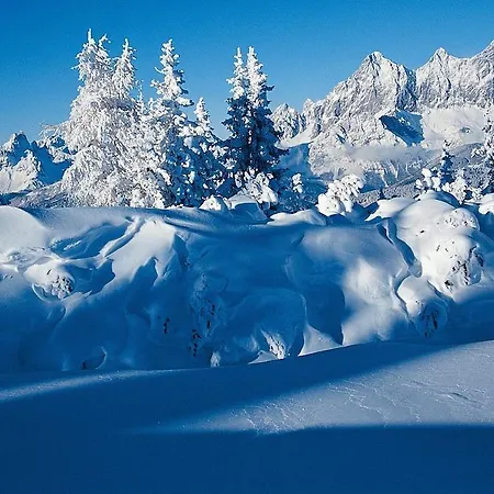 Vorstadtstub'n Schladming