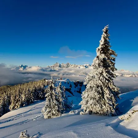 Διαμέρισμα Vorstadtstub'n