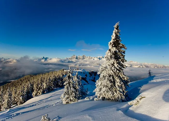 Apartman Vorstadtstub'n